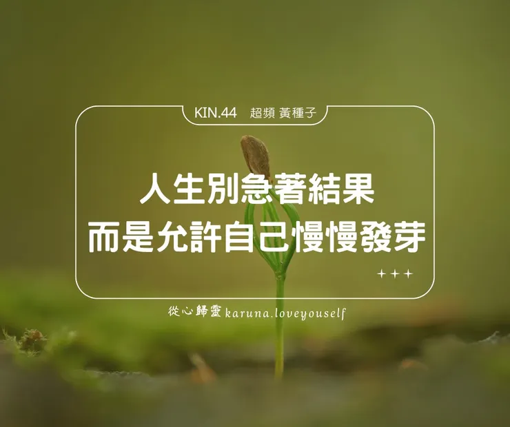 KIN.44 超頻黃種子