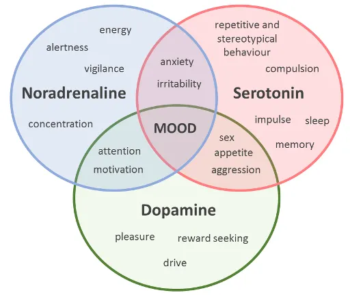 monoaminergic hypothesis