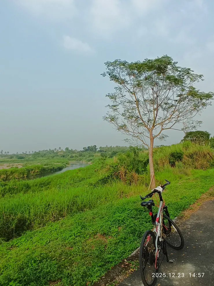 溪汀芳草綠滿目，皆自拍攝