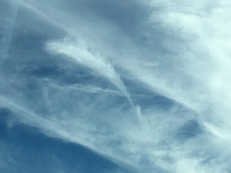 天使遺落的羽毛by Justine