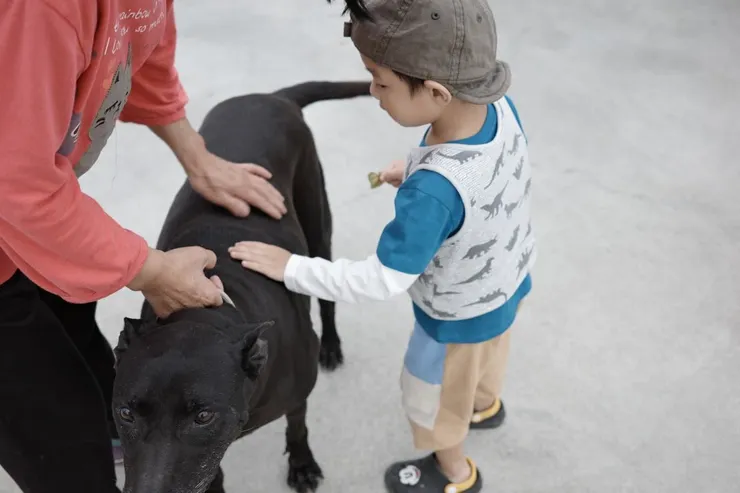 親近土地，親近動物，大自然會是最好的導師