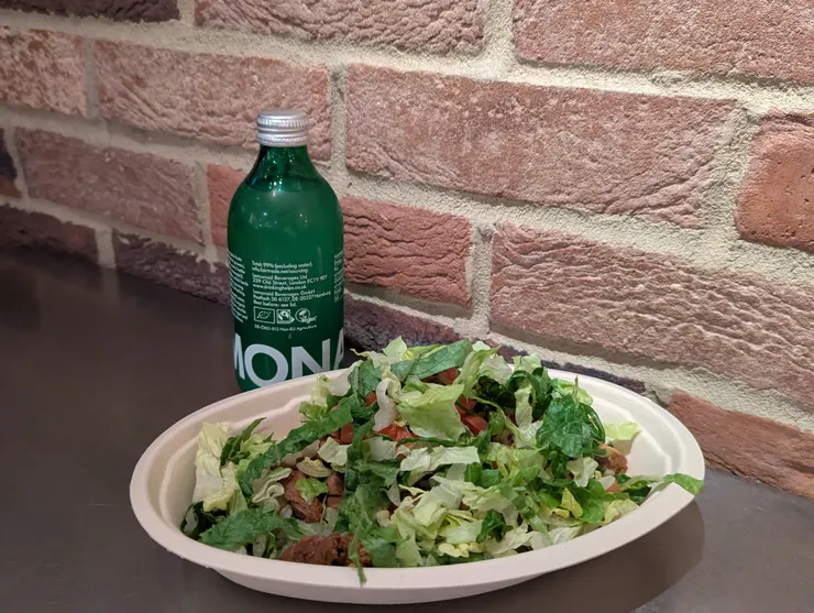 Chipotle 的莎莎醬牛肉飯是我這趟最喜歡的一餐