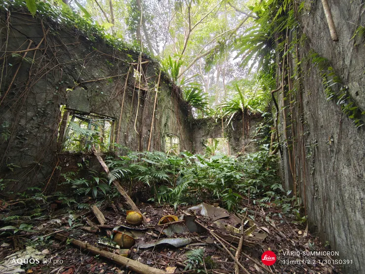 裕峰煤礦事務所遺址內部。使用13mm超廣角鏡拍攝可以發現成像效果沒有23mm理想。(SHARP AQUOS R9 pro,13mm)