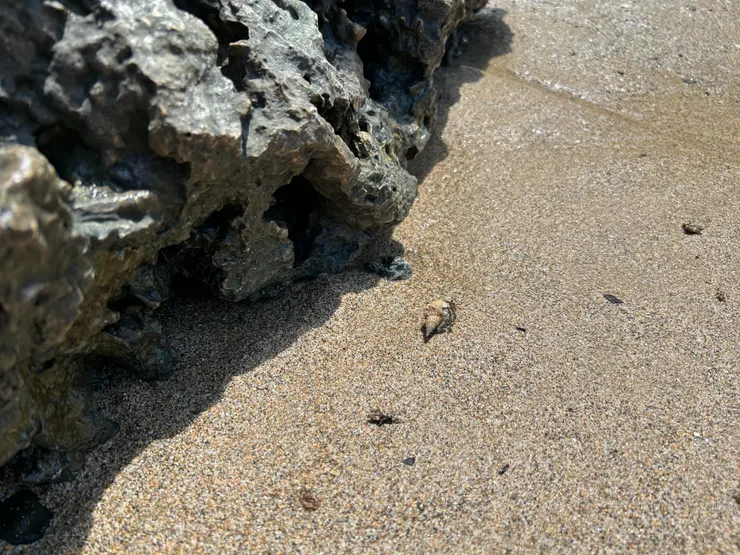 ⟨好ＱＱＱＱＱＱ⟩