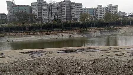 [新北旅遊]裕隆城認養綠湖公園，唯美、生態 、綠意、曬小孩的