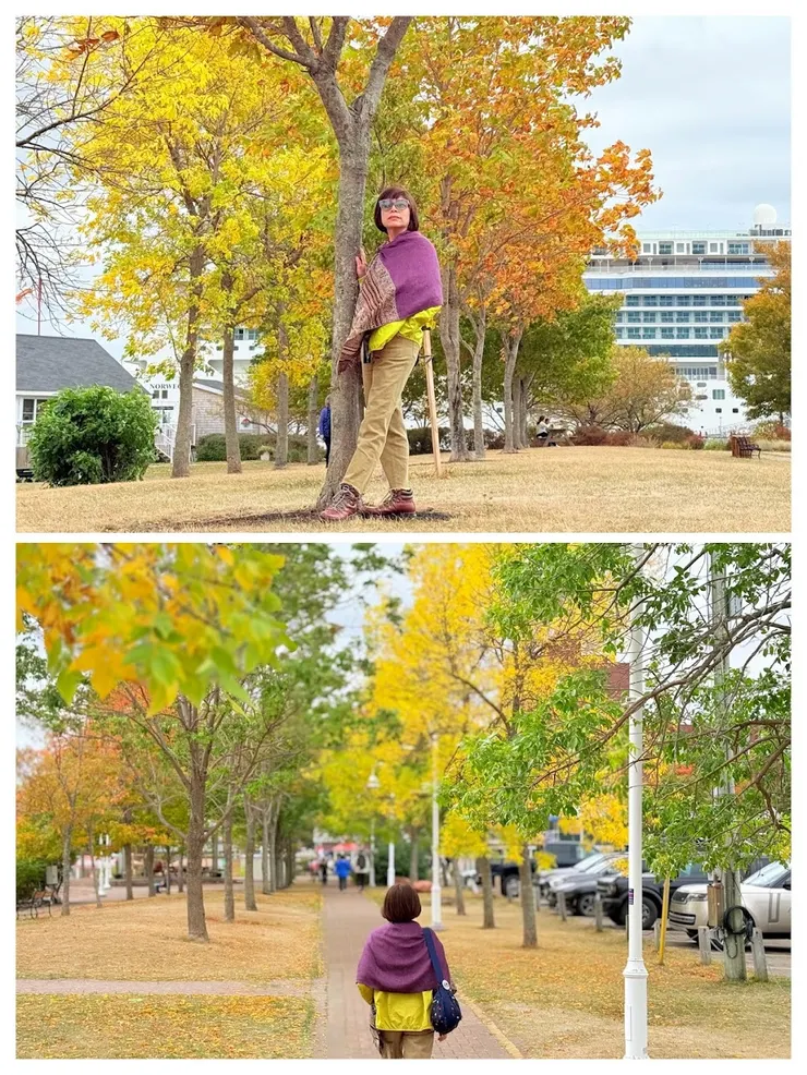 郵輪下船處-夏洛特聯邦登陸公園