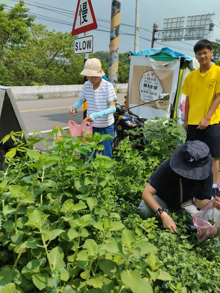 採摘野菜.認識野菜