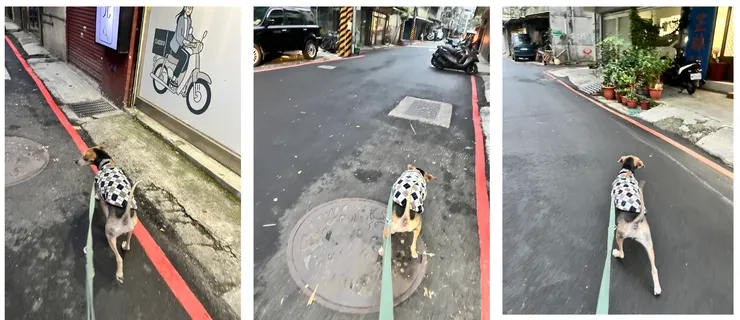 下車搜索哥哥家