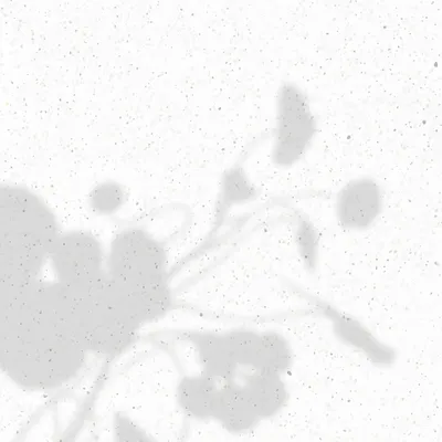 自自然然  | 向內 連結自己 | 向外 連結自然的沙龍