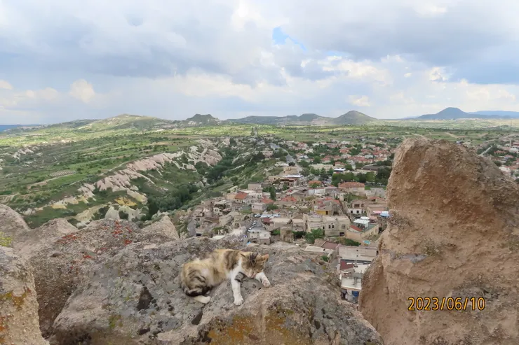 圖十五: 城堡之王，整個 Cappadocia 都在牠之下。