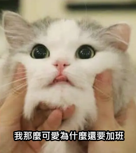 口渴了?飲水機看這邊