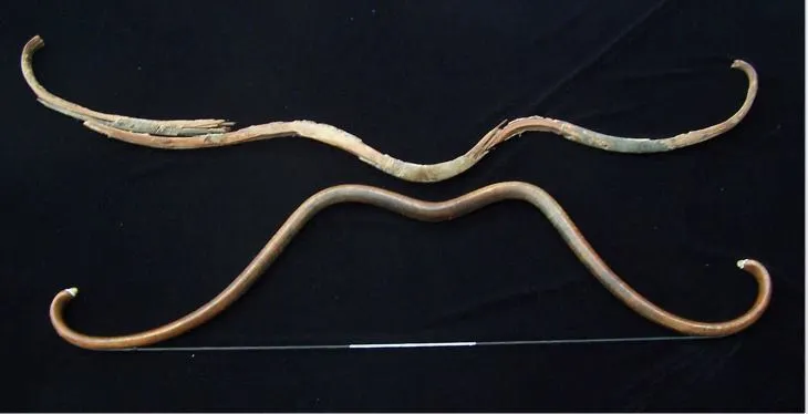 斯基泰弓複製品&nbsp;Scythian bow replica by Adam Karpowicz