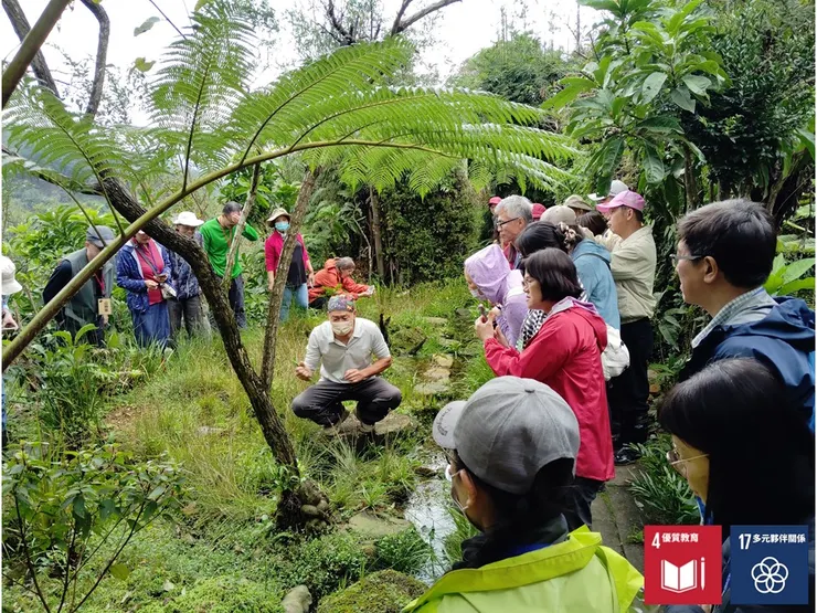 一塊小小的濕生棲地,包含了多種極富詩意的生態