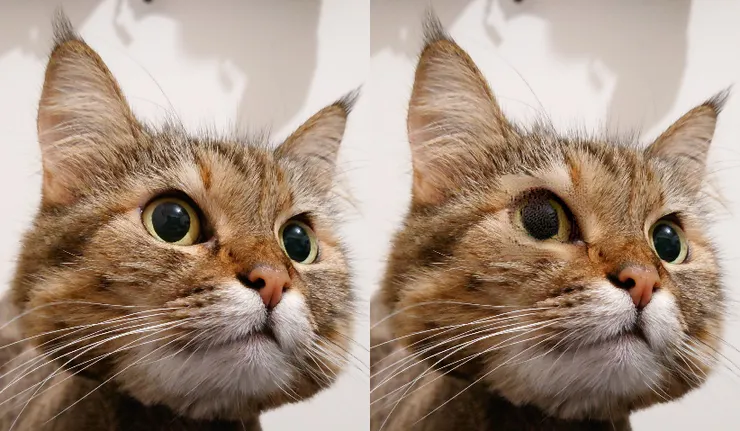 左:原本真正的照片 | 右:DCP解碼後的成果