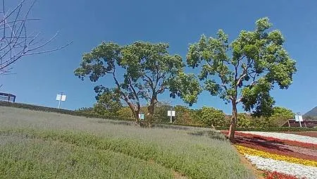 [台北旅遊]凱達格蘭族北投社到北投區三層崎公園花海、大冠鷲著