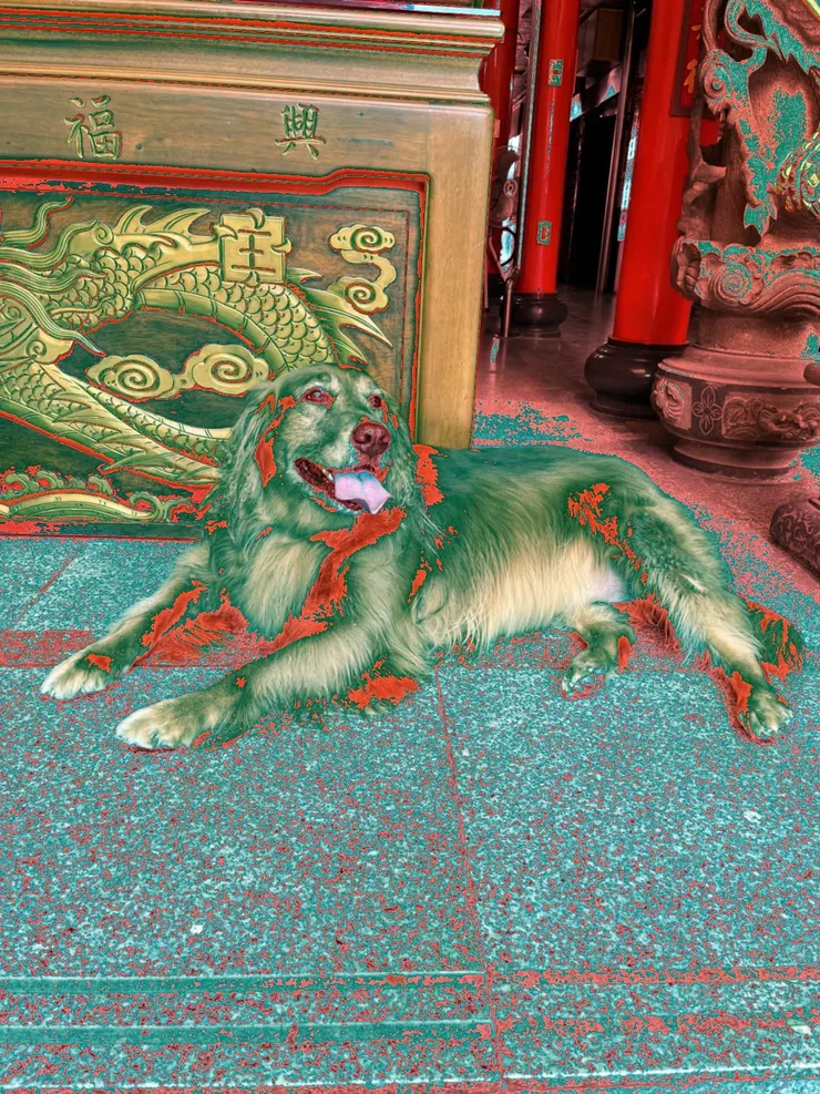 紅色通道放大的圖