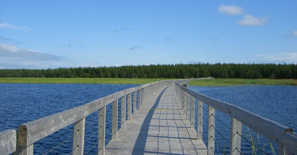 不專業學術閒聊