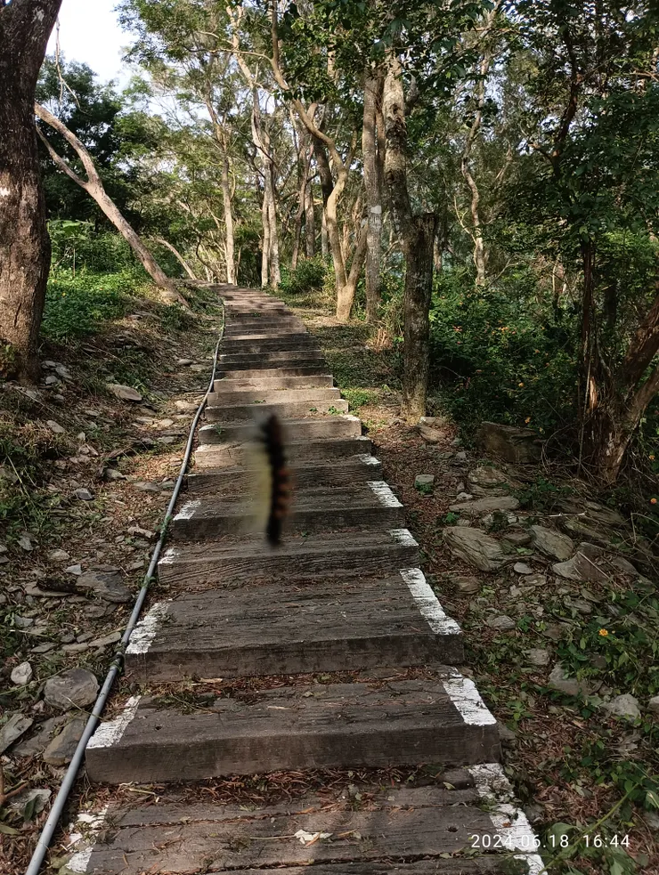 毛毛蟲一絲垂吊道中，幸未撞上惹禍