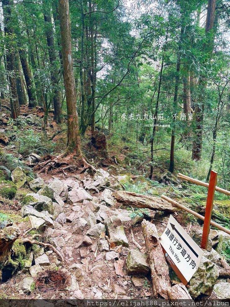【大霸群峰4百岳。兩天一夜】觀霧大鹿林道東線騎越野單車/馬達