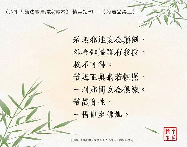 慈悲教育，孩子有愛