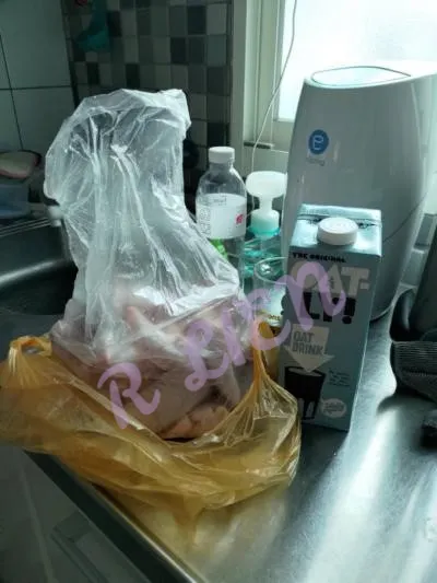 作者拍攝，滿滿的雞翅