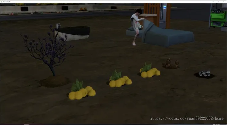 自訂瓜沒有盤子，但至少不會餓死（欸）