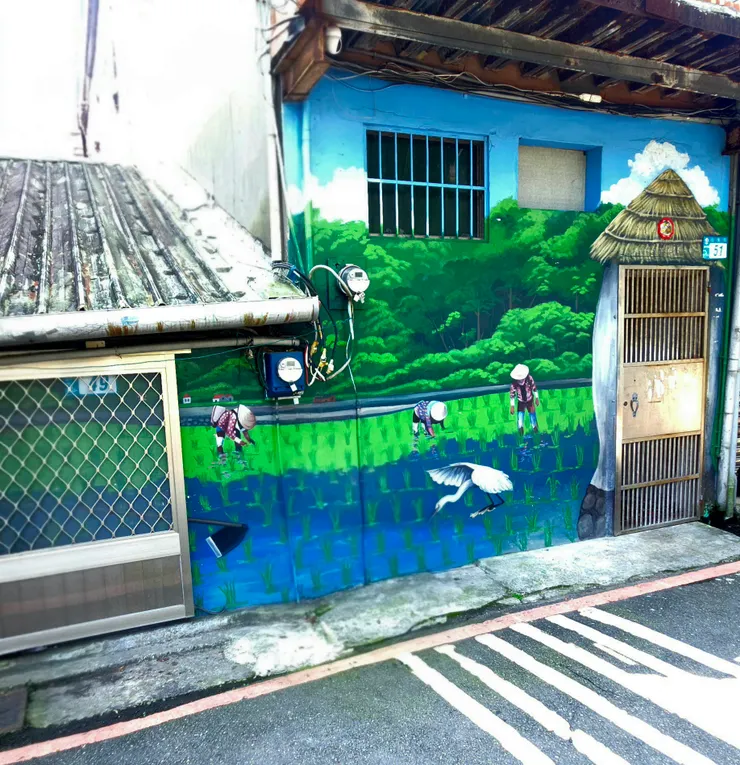 (綠油油水田插秧) 同一時間，水田裡的陽光好燦爛。農夫們戴著斗笠，彎著腰，一步一步退後，卻把綠油油的秧苗種出了一條向前的路。白鷺鷥也在一旁覓食，陪著大夥唱起插秧歌。