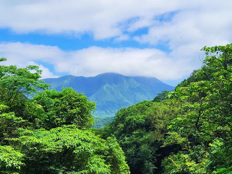 橋上眺望竹子山主峰