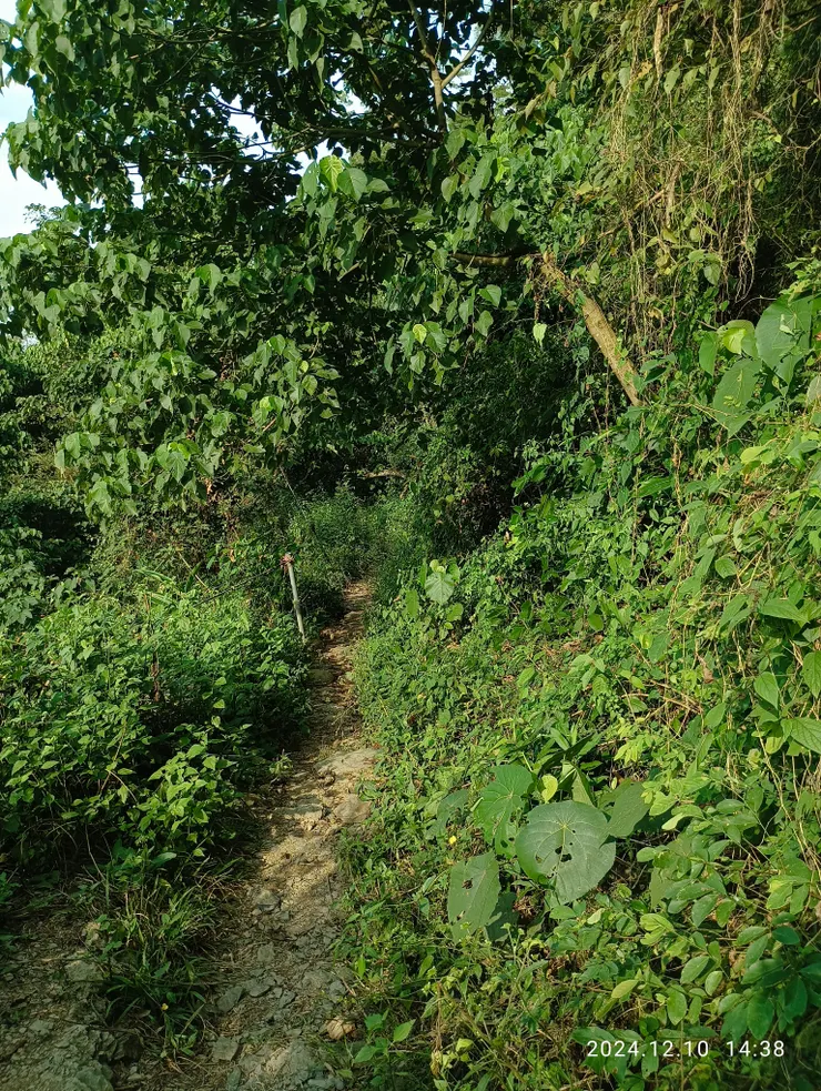 山登的小徑，自拍攝