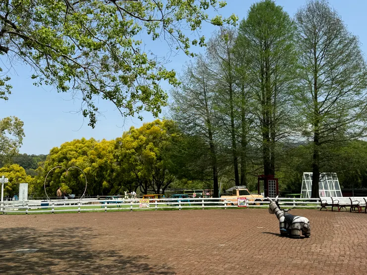太陽很大 天空一片雲都沒有呢