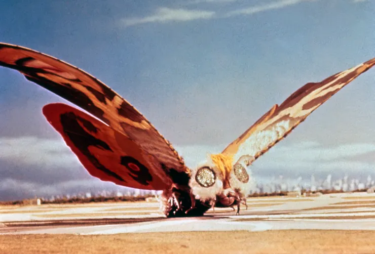 《摩斯拉對哥吉拉》劇照/TM & TOHO CO., LTD.