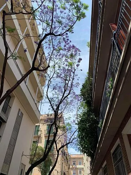 西班牙巴賽隆納之旅