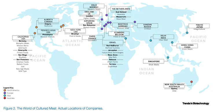 2020年細胞培養肉公司的分佈:主要熱點集中在美國、歐洲與以色列。圖片來源:Choudhury et al., 2020 (Trends in Biotechnology)