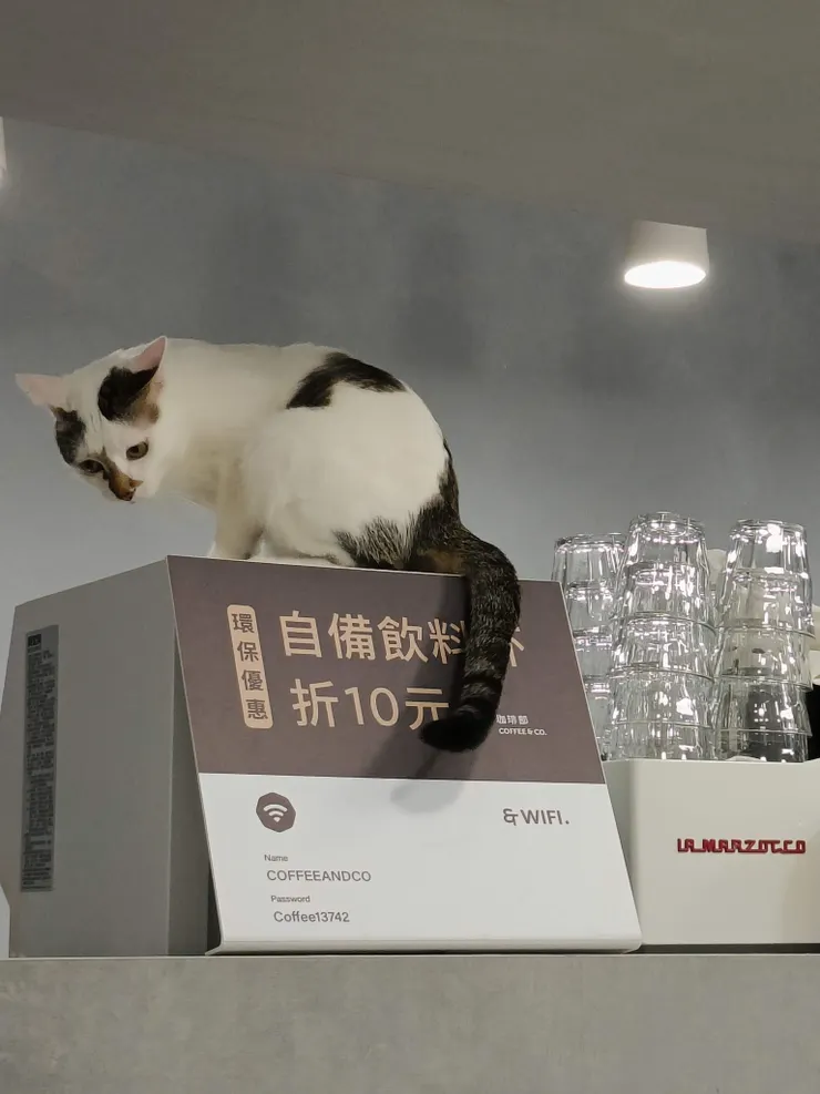 這裡顯然很不錯