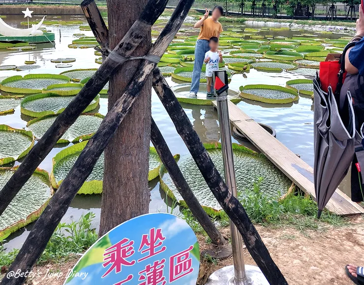 ▲2024桃園蓮花季/圖片來源:Betty's Jump Diary