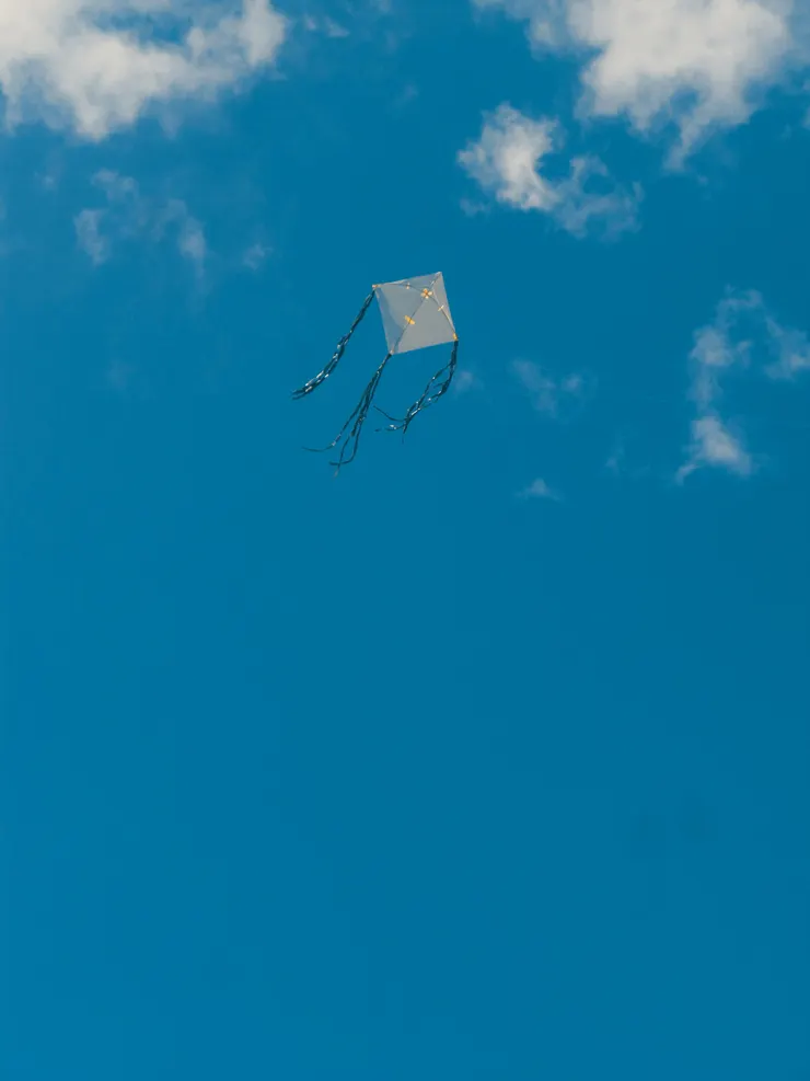 Photo by Alejandro Alas on Unsplash