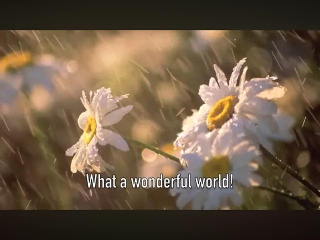 打開連結便可以找到美麗的世界！