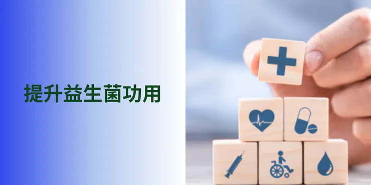 提升益生菌功用