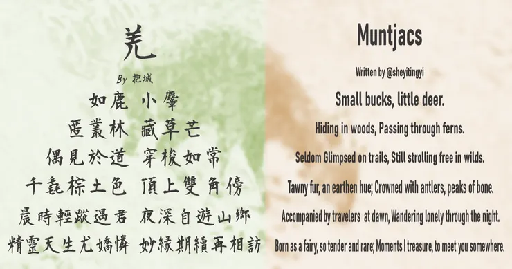 寶塔詩〈羌〉中英對照