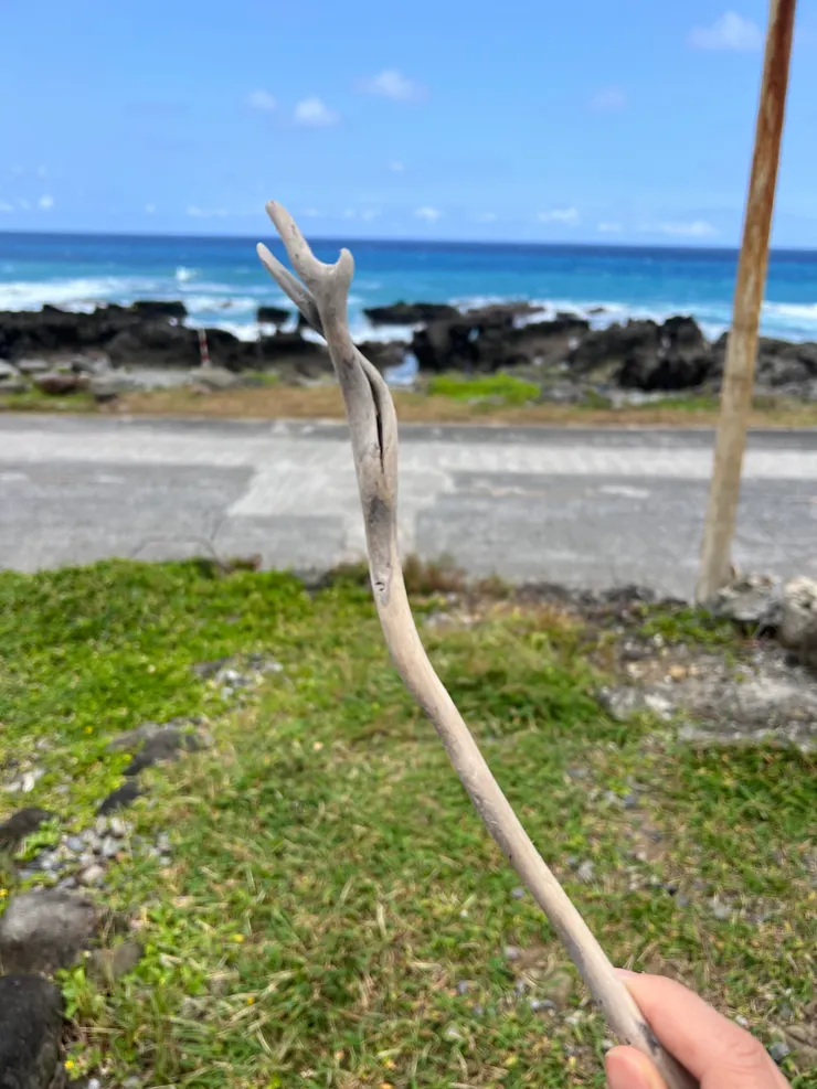 海邊撿到的漂流木魔法棒