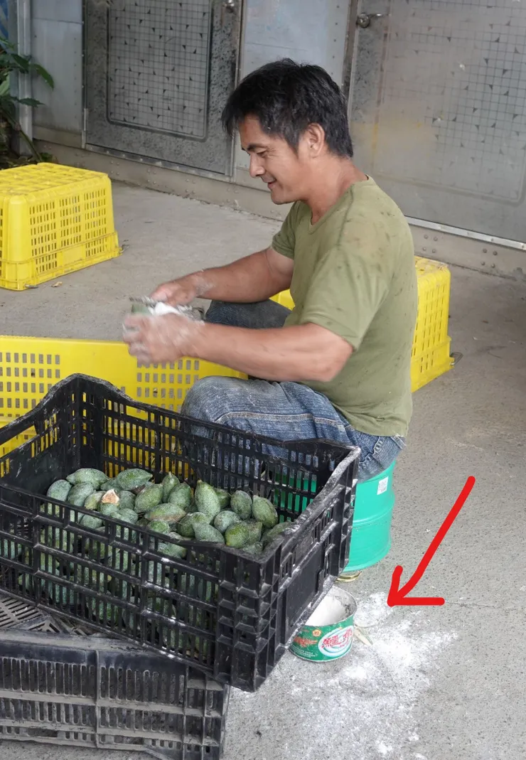 鱷魚蚊香內是麵粉防止愛玉果皮黏液沾手
