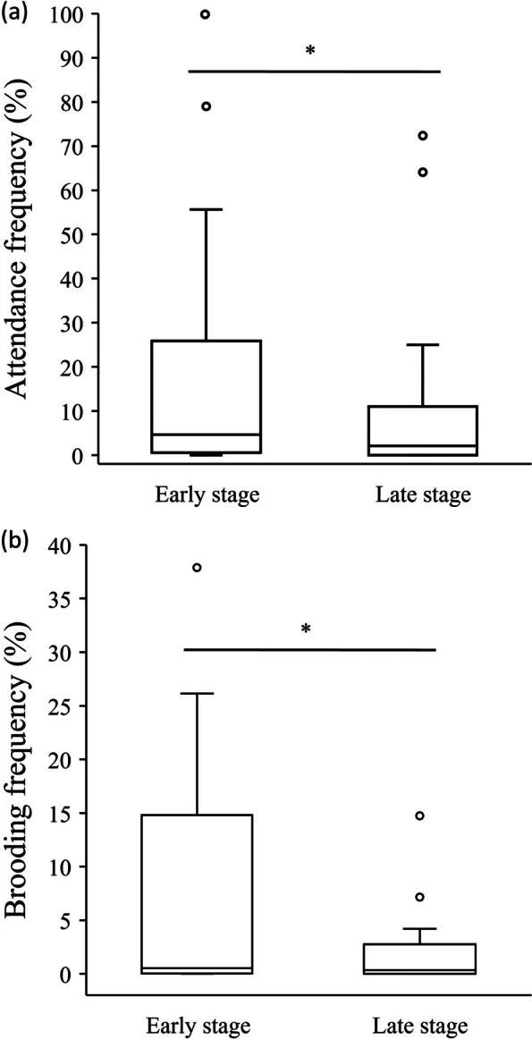 (a)胚胎發育早期和晚期雄蛙駐守的頻率比較,p=0.044(b)胚胎發育早期和晚期雄蛙孵卵的頻率比較,p=0.029