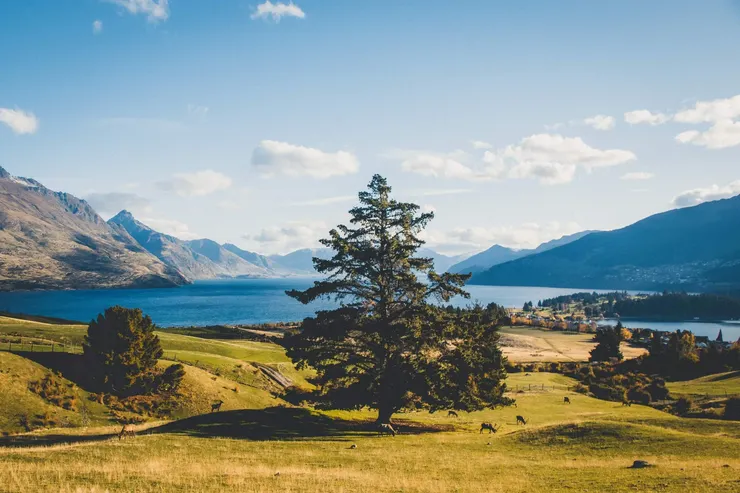 New Zealand - Deer Park Heights Queenstown