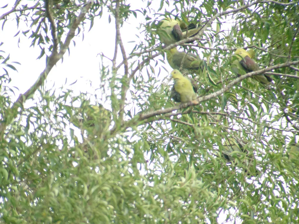 YU-Earth-Life：享旅