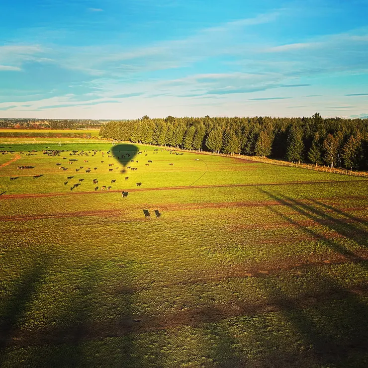 坐熱氣球，腳下就是坎特伯里大平原