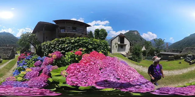 小鎮裡滿滿的花