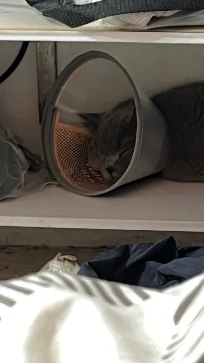 好心疼一世謝謝留言關心一世的格友