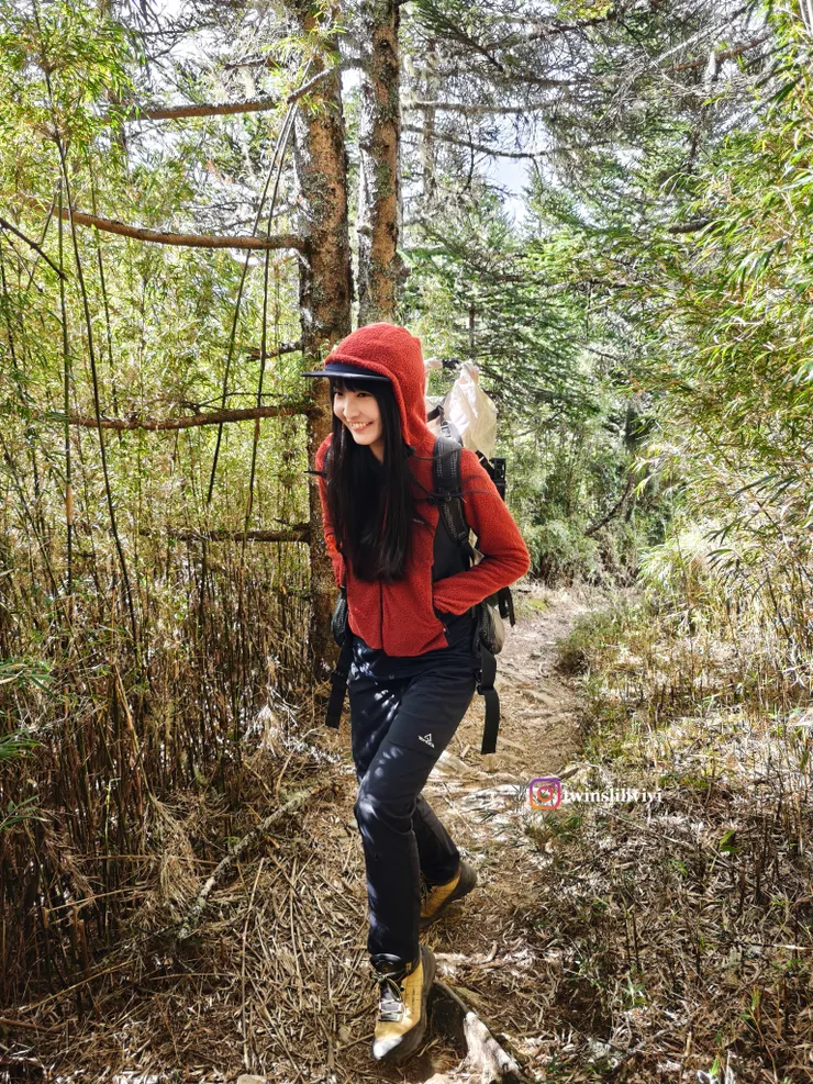 在樹林間也看起來亮眼