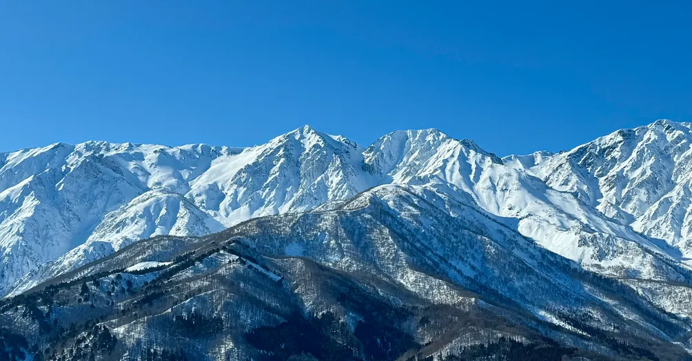 財富自由記事的沙龍