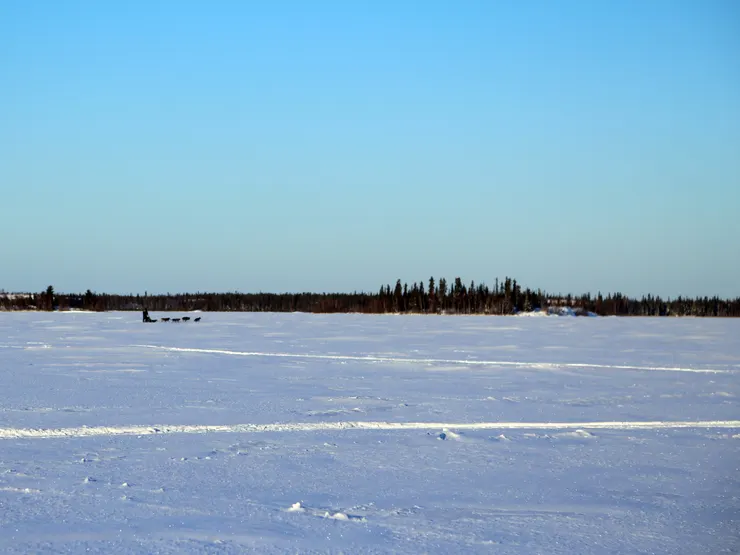 遠處可以看到雪橇犬在奔馳